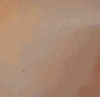 6709026-one-of-best-flash.gif